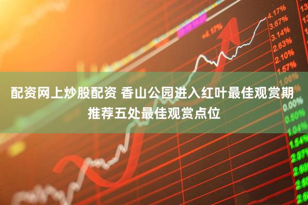 配资网上炒股配资 香山公园进入红叶最佳观赏期 推荐五处最佳观赏点位
