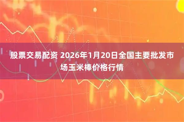 股票交易配资 2026年1月20日全国主要批发市场玉米棒价格行情