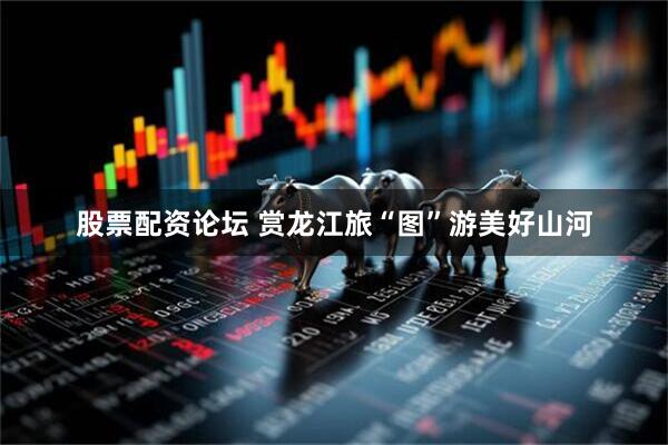 股票配资论坛 赏龙江旅“图”游美好山河