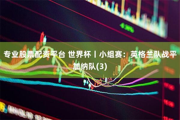 专业股票配资平台 世界杯丨小组赛：英格兰队战平加纳队(3)